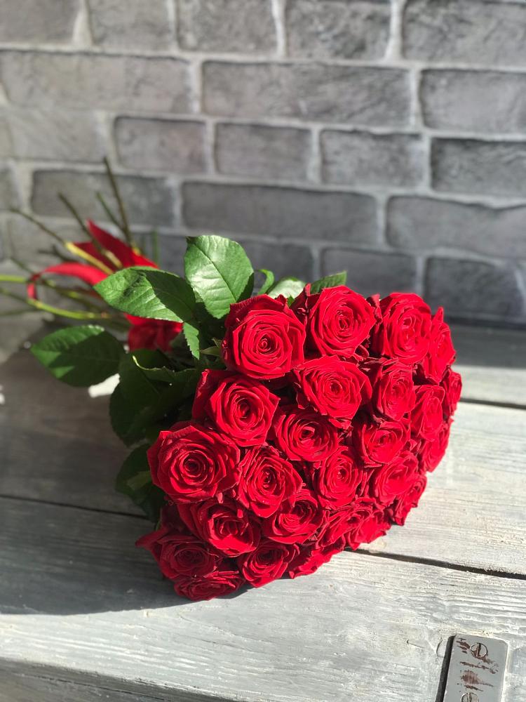 Букет Красные розы Фридом в Елово