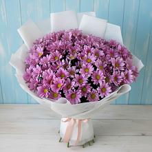 Букет цветов из:  Хризантемы #REPLACE_PRED# Елово