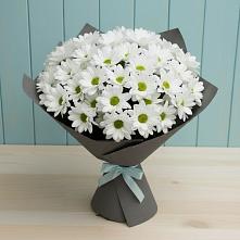 Букет цветов из:  Хризантемы в Елово