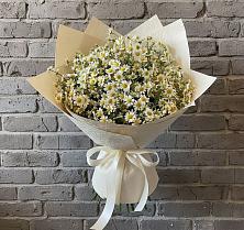 Букет цветов из:  Ромашки #REPLACE_PRED# Елово